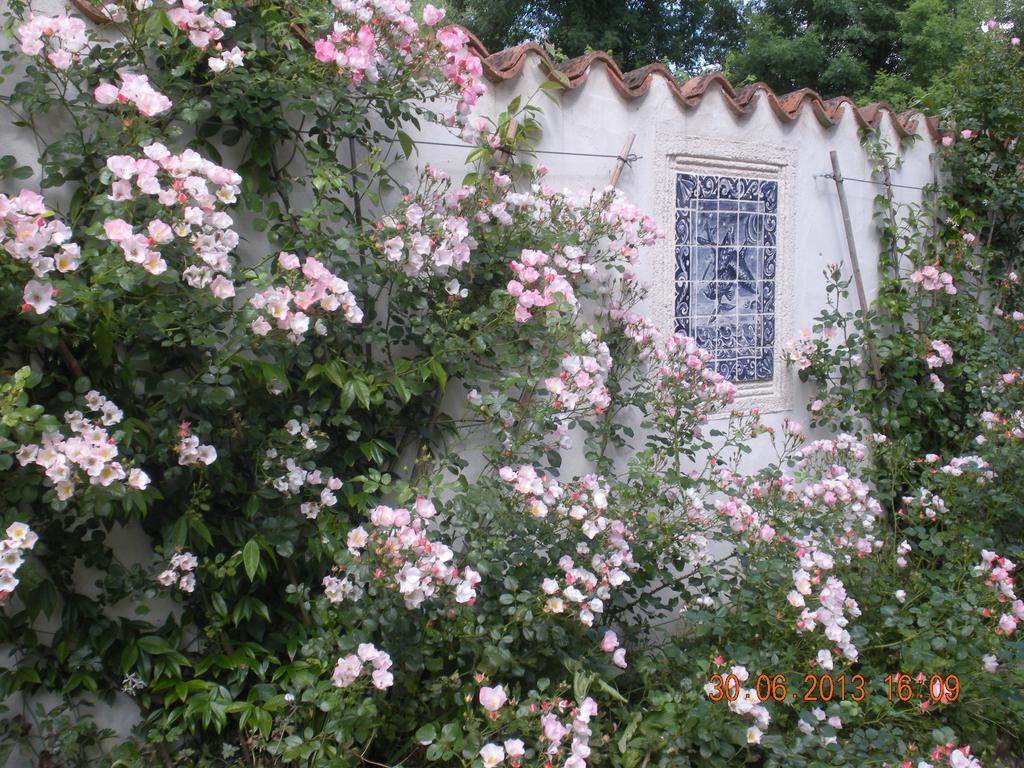 Moulin De Larcy Villa Riberac Bagian luar foto